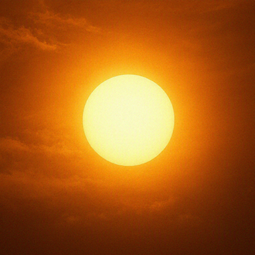 Sole Sole