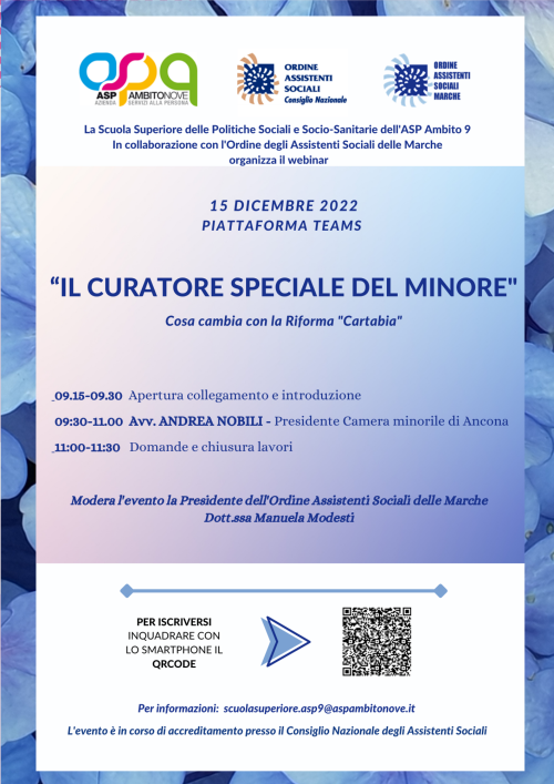 IL CURATORE SPECIALE DEL MINORE IL CURATORE SPECIALE DEL MINORE