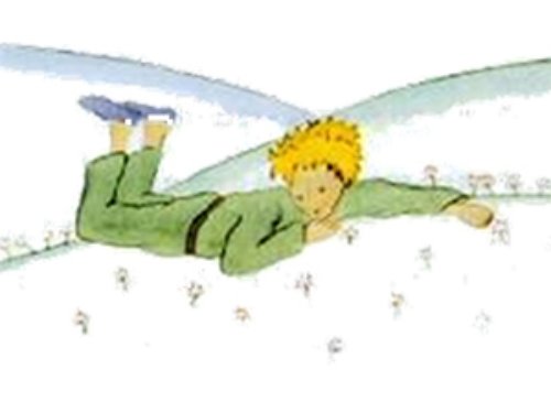 Il Piccolo Principe Il Piccolo Principe